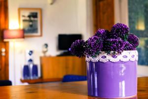 Quinta dos Cochichos - Country Houses