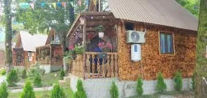 Gold Star - Гоніо