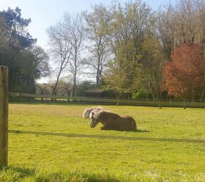 La campagne proche de l Océan