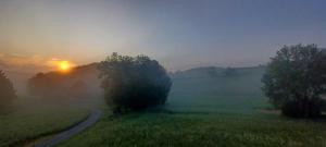 Entspannung und Erholung, Ferienwohnung mit traumhaftem Blick in die Natur