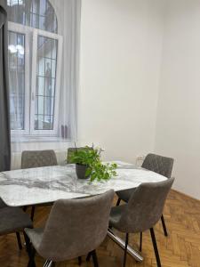 Central Downtown Apartments