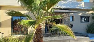 Appartements Luxueux appartement dans propriete contemporaine, jardin privatif, piscine : photos des chambres