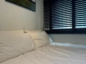 walking with dog - Suwŏn-yŏk