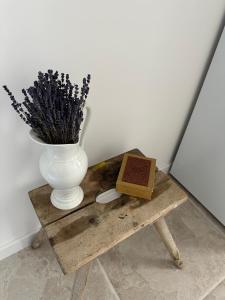 Appartements Studio centre ville la Toscane : photos des chambres