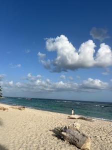 Luxury Private Villa At Metro Pool Jacuzzi Wifi Sleeps 10