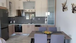 Ioanna Apartment 1 - Darmarochori