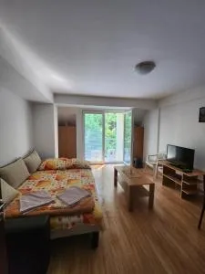 Apartment Joco - 孔吉斯克