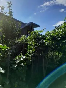 Дом где есть всё удобства 2 - Kintsvisi