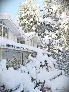 Cabañas Aires Patagonicos 2 ambientes