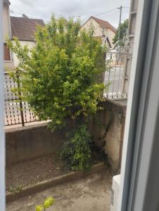 Appartements La Cite du 56 : photos des chambres