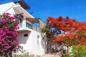 Villa Les Flamboyants - Andjamen