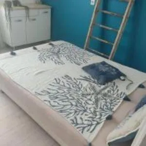 les hirondelles - Port-Joinville