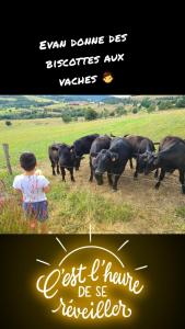 B&B / Chambres d'hotes Le QG chez Flo et David : photos des chambres