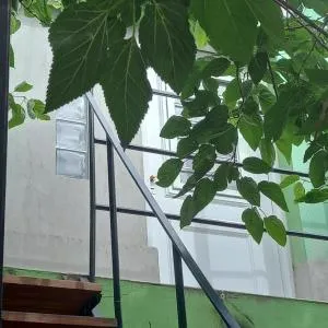 Verdes montañas - Capilla del Rosario