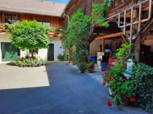 Loftartige Wohnung in Scheibbs mit Schwimmteich