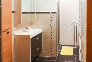 Loftartige Wohnung in Scheibbs mit Schwimmteich