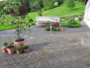 Loftartige Wohnung in Scheibbs mit Schwimmteich