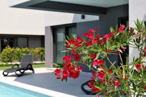 Villa Centinera mit Pool in Meernähe 