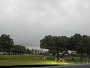 Langebaan Holiday Home