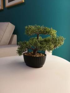 Unique 3 BDRM apartment, 5 min walk from Acropolis