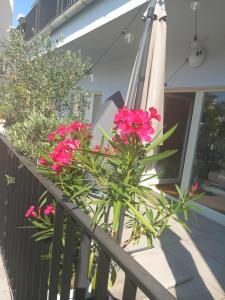 Apartmán v centru Prahy