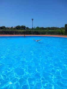 bel appartement avec piscine