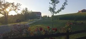 Stari Tršić - Tršić