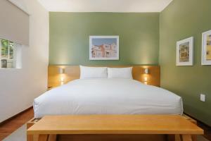 Beautiful 1BR in Condesa