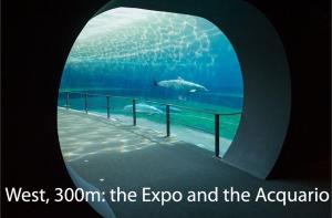 Loft In San Lorenzo 1 & 2