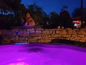 Gîte dans Mas provençal ,havre de paix