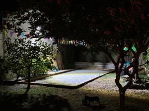 Maisons de vacances Cote Jardin : photos des chambres