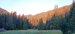 Хижа Ловна в Рила