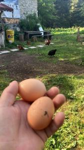 Хижа Ловна в Рила