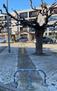 Le Neptune place de Marbre plage et port