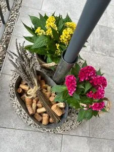 Sveva Haven Malpensa - 维佐拉提契诺