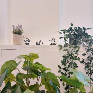 Amber Lodge- No Party House