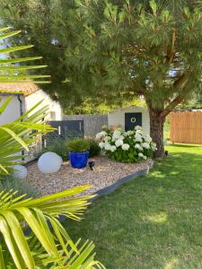 Studio situé centre ville