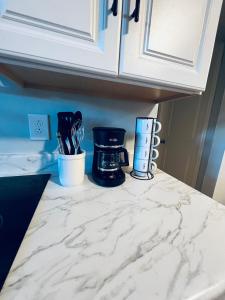 Bright 2BR- Near Busch Gardens & Tampa Fun