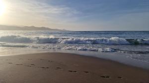 Las Canteras Beach at Marina 19