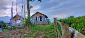 Himali Dara Homestay