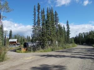 Arctic Homestead Suite 1