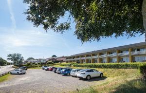 Cozy Apartment In Allinge With Wifi