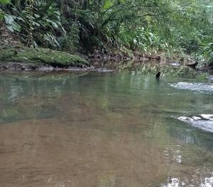 Sítio lampião do norte