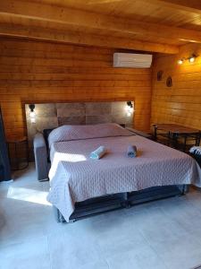 Appartements Escapade sous les pins 20m2 : photos des chambres