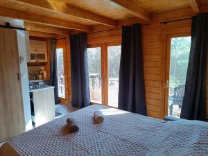 Escapade sous les pins 20m2