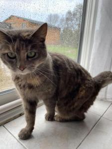 Maison familiale, emplacement idéal