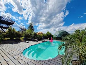 Domek w drzewach Ostoja