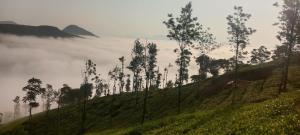 Silver home stay vagamon