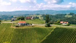 Weinstraßenapartment Fam. Dietrich - Sulz