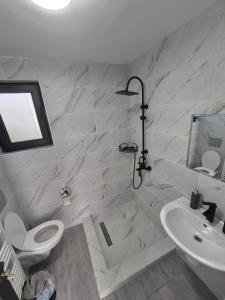 Casa de vacanta Larisa